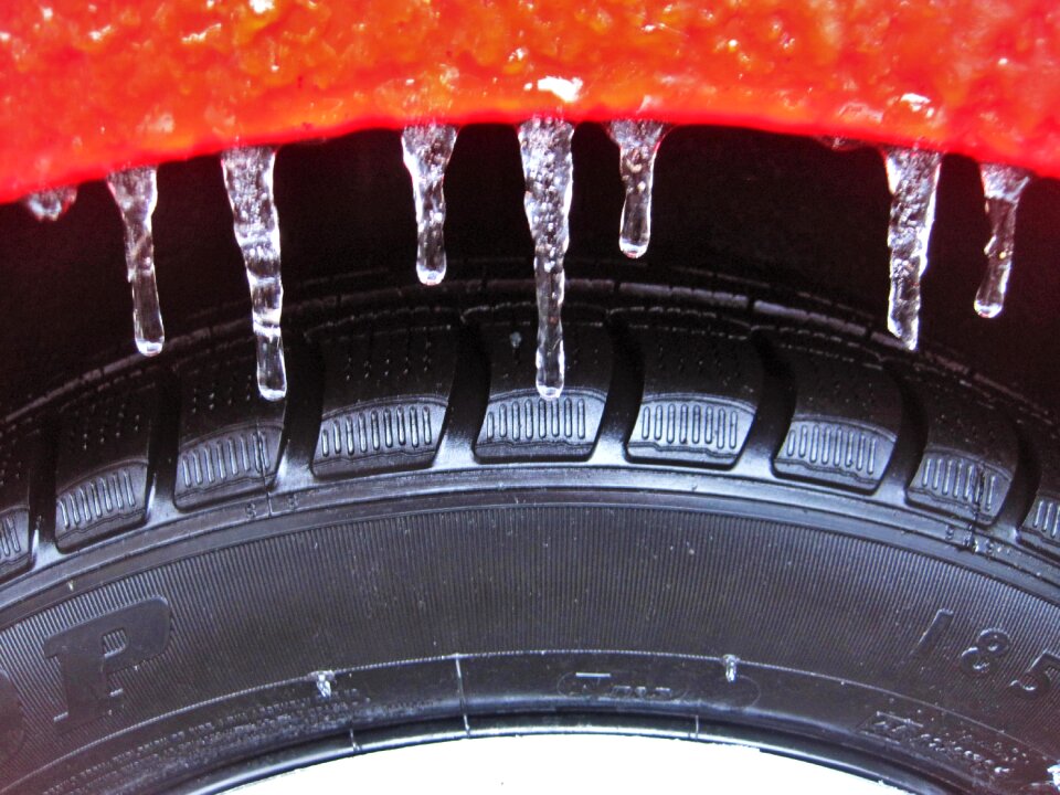 Mature wheel winter
