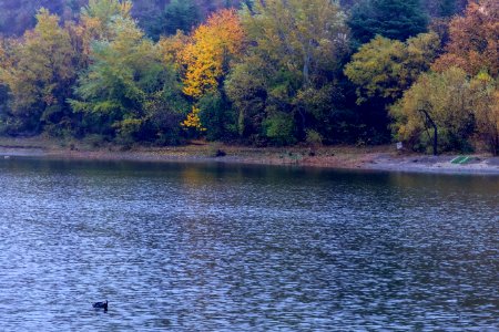 Vake Park, Tbilisi City, Georgia Country, autumn Season 12