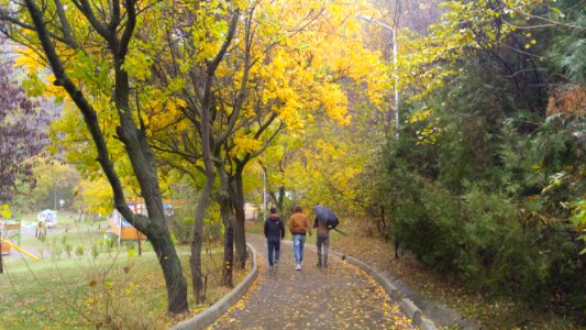 Vake Park, Tbilisi City, Georgia Country, autumn Season 03