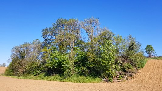 Valkenburg-Auvermansboschke (11)