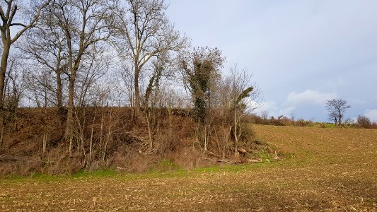 Valkenburg-Auvermansboschke (15)