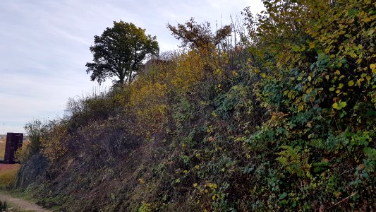 Valkenburg-bunker A in Polferbos (4)