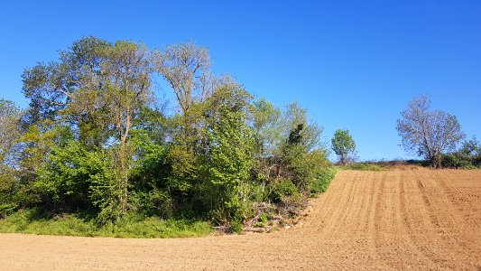 Valkenburg-Auvermansboschke (12)