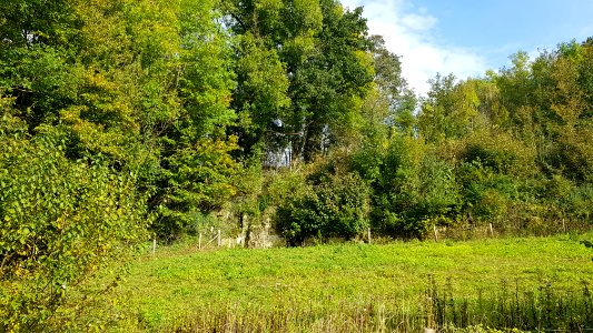 Valkenburg-Groeve aan de Heide (8)