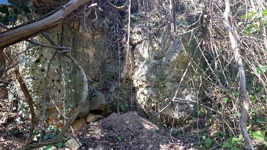 Valkenburg-Groeve naast Beckersbergske (4)