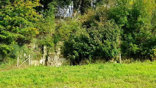 Valkenburg-Groeve aan de Heide (9)