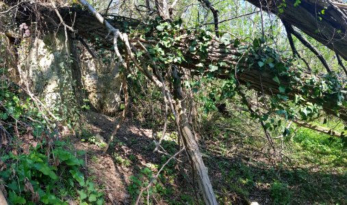 Valkenburg-Groeve naast Beckersbergske (3)
