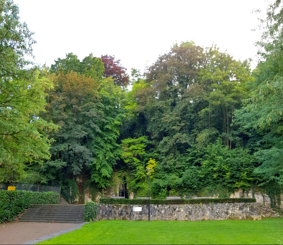 Valkenburg-Alphagroeve (2)