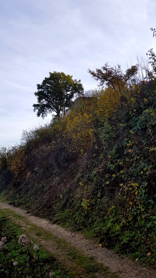 Valkenburg-bunker A in Polferbos (5)