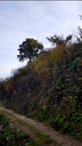 Valkenburg-bunker A in Polferbos (5)