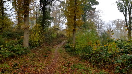 Valkenburg-bunker E in Polferbos (3)