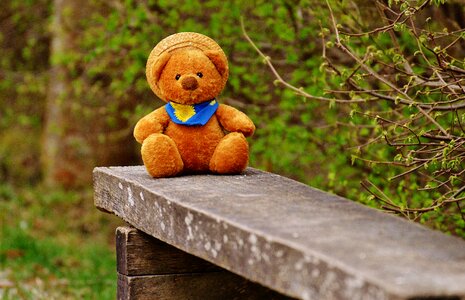 Teddy bear plush funny