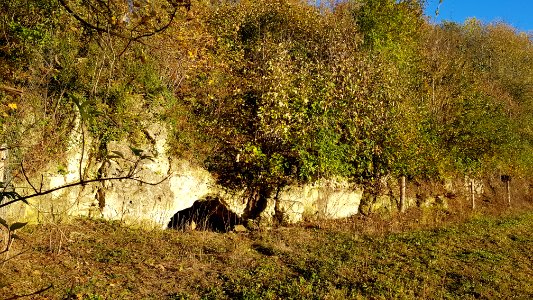 Valkenburg-Groeve aan de Heide (12)