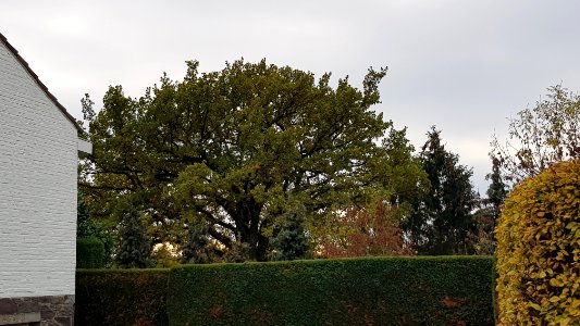 Valkenburg-Galg op de Emmaberg (1)