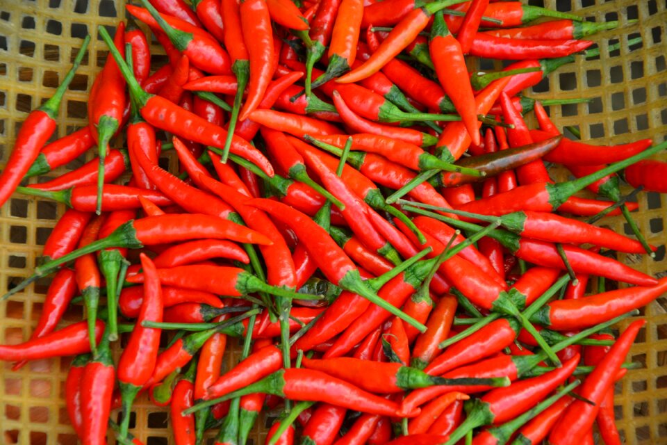 Piquant pod market