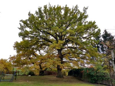 Valkenburg-Galg op de Emmaberg (4)