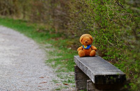 Teddy bear plush funny