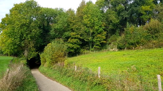 Valkenburg-Groeve aan de Heide (10)