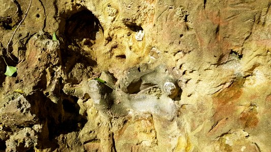 Valkenburg-Heiberggroeve (6)