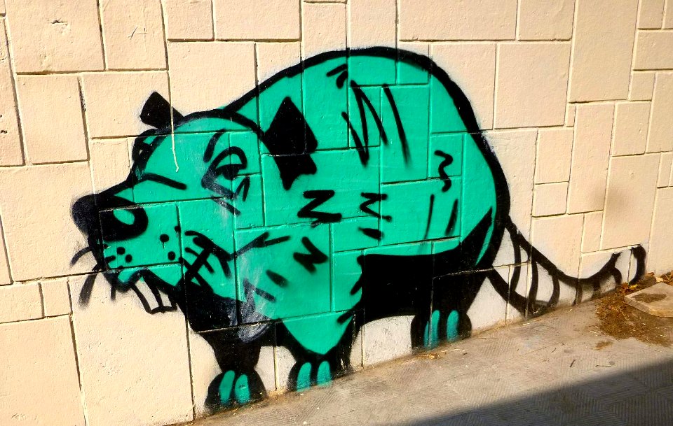 Valencia - Graffiti 17