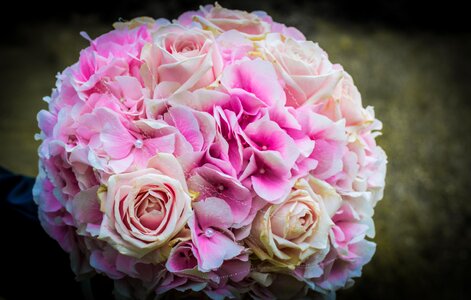Roses flowers marry