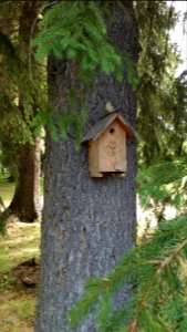Valamo bird nest box