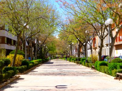 Valdepeñas 43
