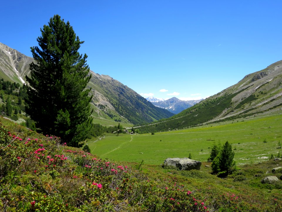 Val d'Avigna
