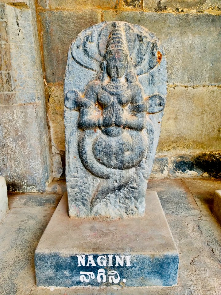 Vaidyanatha Temples complex reliefs and inscriptions, Pushpagiri, Andhra Pradesh India - 6