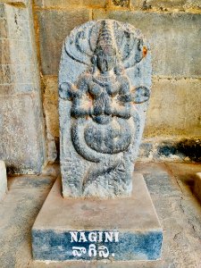 Vaidyanatha Temples complex reliefs and inscriptions, Pushpagiri, Andhra Pradesh India - 6