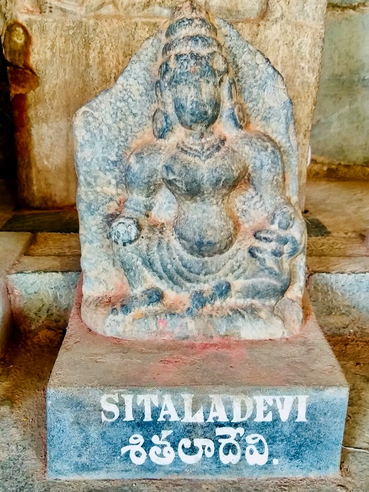 Vaidyanatha Temples complex reliefs and inscriptions, Pushpagiri, Andhra Pradesh India - 15