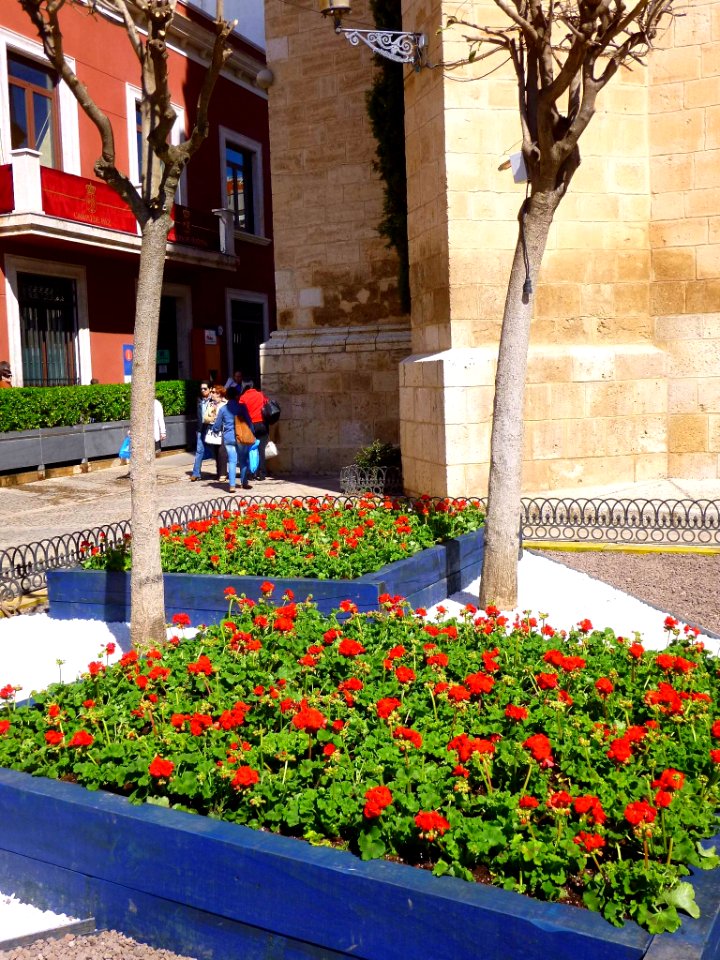 Valdepeñas - Plaza de España 02