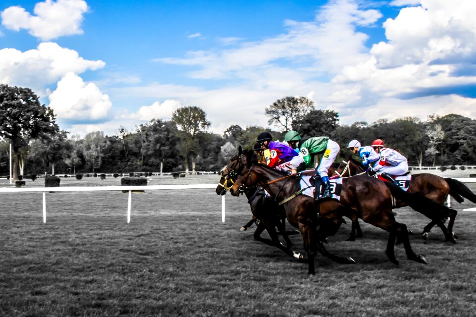 Gallop hippodrome competition