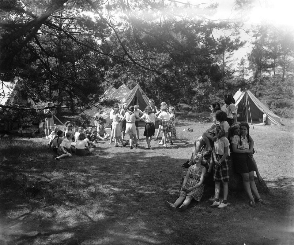 VCJC Kamp Diever, Bestanddeelnr 902-8730