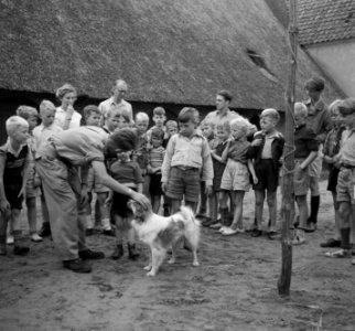 VCJC Kamp Maarn, Bestanddeelnr 904-0871