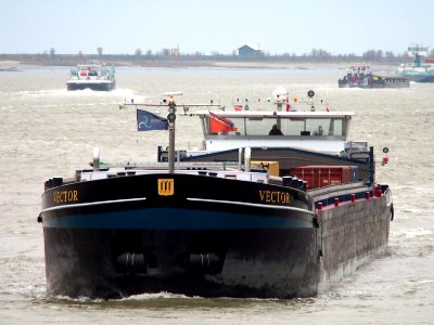 Vector (ship, 2008), ENI 02331015 Port of Antwerp pic3