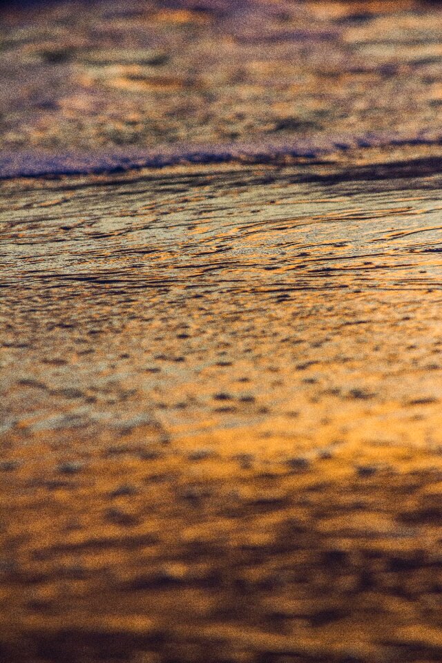 Sunset sea foam