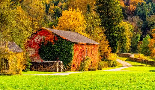 Nature landscape old