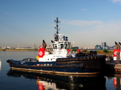 VB Cheetah (tugboat, 2009) IMO 9454876, Port of Rotterdam