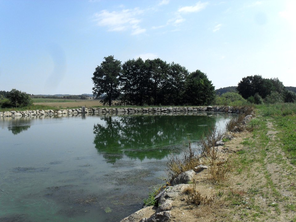VELKÝ BOR - malý rybník