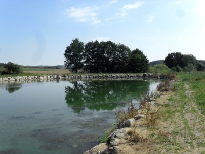 VELKÝ BOR - malý rybník