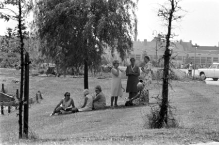 Veluwe dames zitten in gras, Bestanddeelnr 923-5883