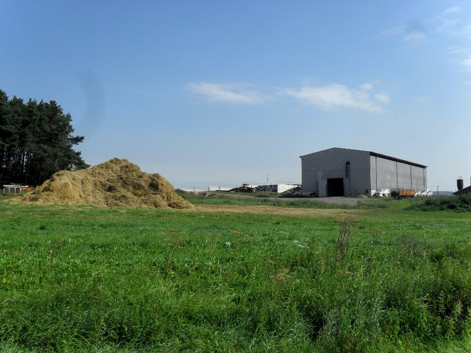 VELKÝ BOR - ZD B