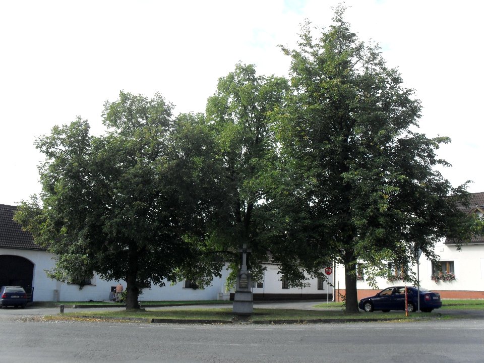 VELKÝ BOR - jeden z památníků první světové B