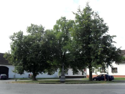VELKÝ BOR - jeden z památníků první světové B