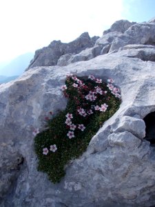 Veliko Špičje 01