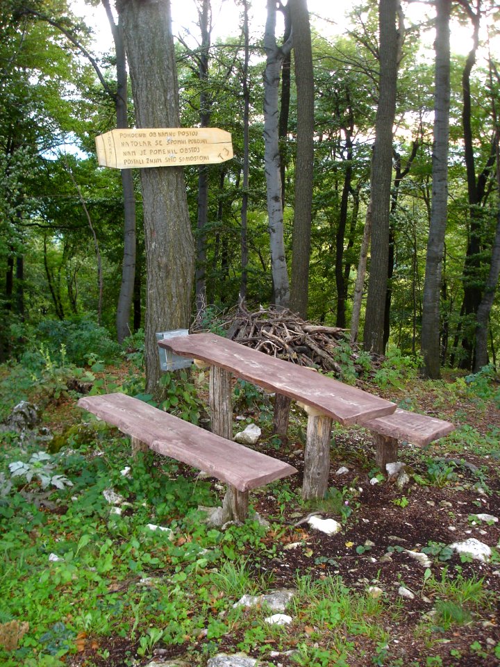 Veliki vrh (Orlica) 04