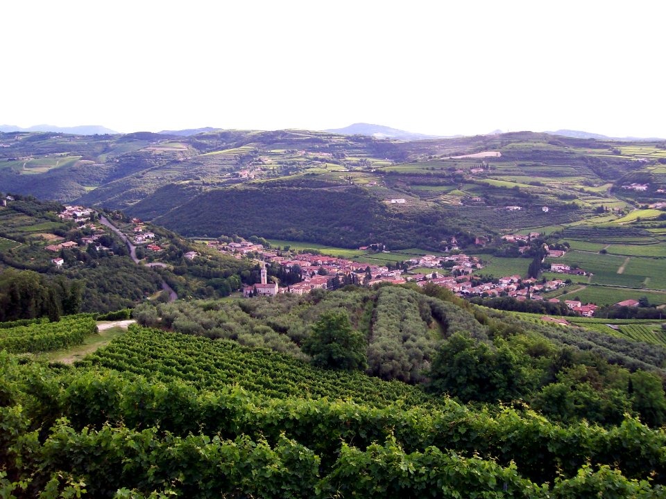 Veduta Mezzane di Sotto 1