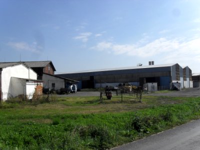 VELKÝ BOR - ZD D