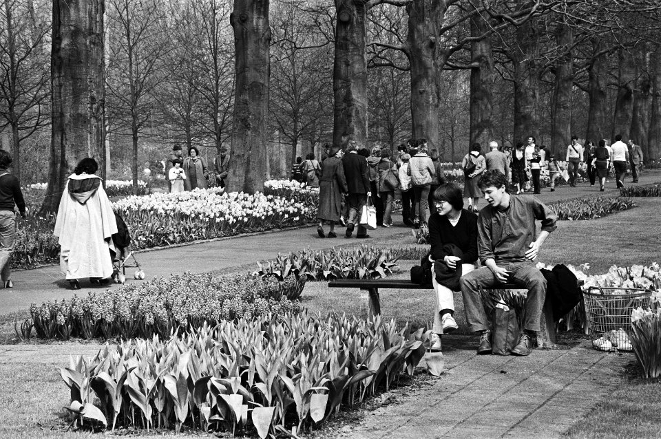 Veel bezoekers in de Keukenhof met mooi weer, Bestanddeelnr 931-4235